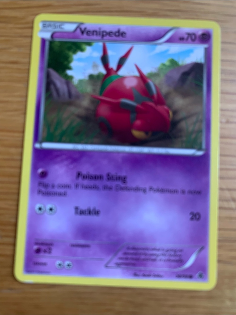 Pokemon Venipede Card - Purple / Red Artwork